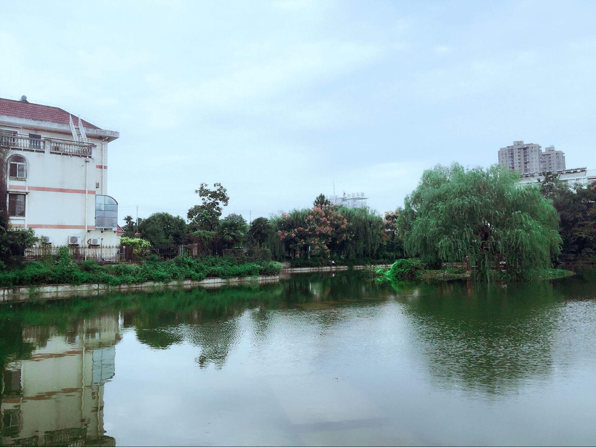 QQ图片20170929165255.jpg