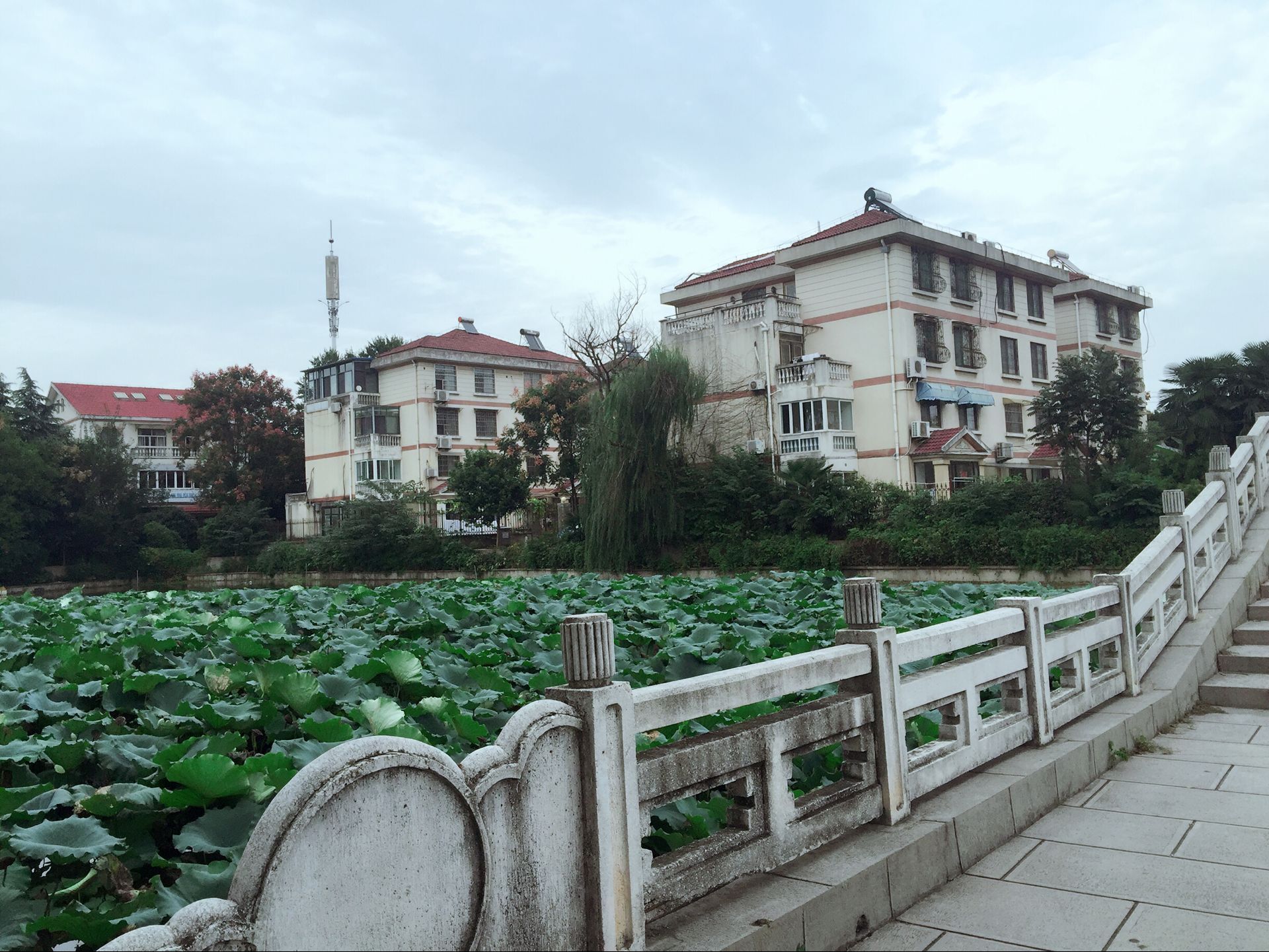 QQ图片20170929165417.jpg